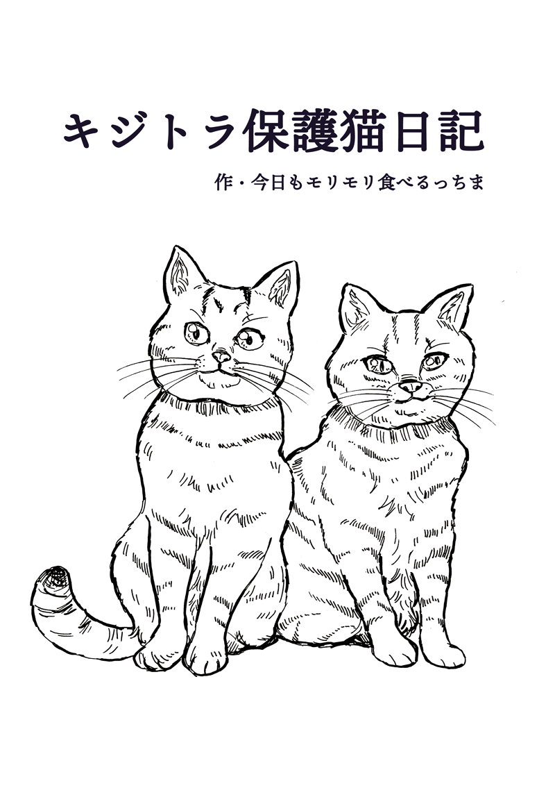 キジトラ保護猫日記1