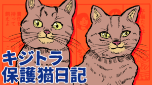 キジトラ保護猫日記アイキャッチ