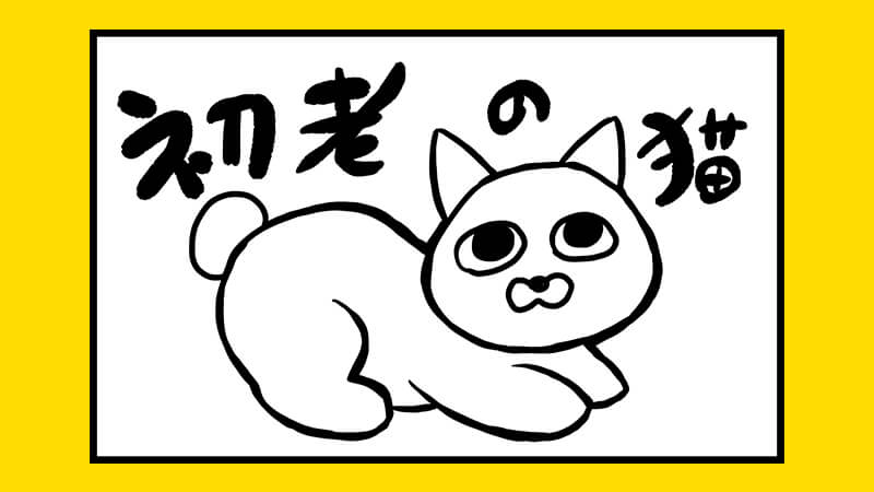 初老の猫